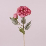 Цветок Пион Flora светло-розовый 73067