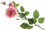Набір декоративних гілок квітів Англійської троянди Bon 709-500, 58см, колір - рожевий, 12 шт.