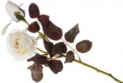 Набор декоративных цветов Розы с бутоном Bon DY7-323, 48см, цвет - белый, 36 шт