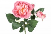 Набор декоративных ветвей цветов Английской розы Bon 709-429, 50см, цвет - закатно-розовый, 12 шт