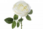 Набор декоративных цветков Розы Bon DY7-329, 51см, цвет - белый, 36 шт