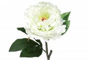 Набір декоративних квіток Піона Bon 709-454, 43см, колір - білий крем, 12 шт.