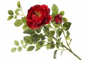 Набор декоративных цветков Розы Bon 709-494 с бутоном, 37см, цвет - алый, 12 шт
