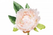 Набір декоративних квіток Піона Bon 709-435, 29см, колір - кремово-рожевий, 24 шт.