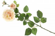 Набор декоративных ветвей цветов Английской розы Bon 709-499, 58см, цвет - кремово-розовый, 12 шт