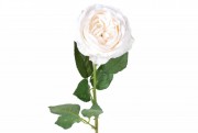 Набір декоративних квіток Англійської троянди Bon 709-433, 53см, колір - кремовий, 12 шт.