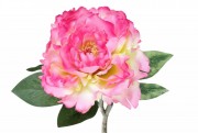 Набір декоративних квіток Піона Bon 709-431, 43см, колір - яскраво-рожевий градієнт, 12 шт.