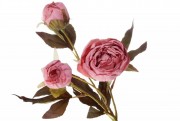 Набор декоративных цветов Розы с бутонами Bon DY7-332, 55см, цвет - темно-розовый, 24 шт