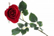 Набор декоративных цветков Розы Bon 709-509, 67см, цвет - алый, 12 шт
