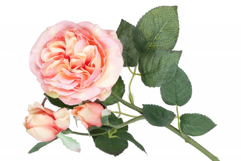 Набор декоративных ветвей цветов Английской розы Bon 709-470, 50см, цвет - персиково-розовый, 12 шт