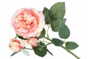 Набор декоративных ветвей цветов Английской розы Bon 709-470, 50см, цвет - персиково-розовый, 12 шт