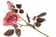 Набор декоративных цветов Розы с бутоном Bon DY7-322, 48см, цвет - розовый, 36 шт