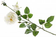 Набор декоративных ветвей цветов Английской розы Bon 709-498, 58см, цвет - белый, 12 шт