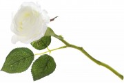 Набор декоративных цветков Розы Bon 709-505, 30см, цвет - белый, 12 шт