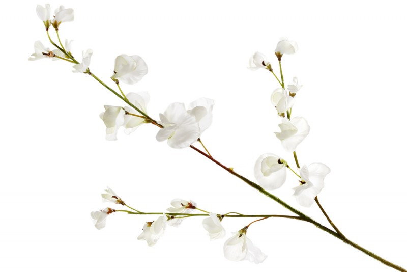 Набор декоративных ветвей Душистого горошка Bon 709-501, 71см, цвет - белый, 12 шт