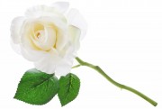 Набор декоративных цветков Розы Bon 709-508, 31см, цвет - белый, 36 шт
