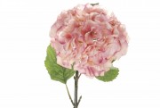 Декоративная ветка Bonadi Розовая нежность