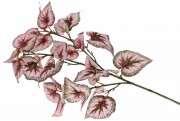 Декоративна гілка Bonadi рожевий