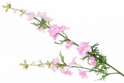 Декоративна гілка Bonadi рожевий