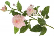 Декоративная ветка Bonadi розовый