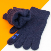 Перчатки для мальчиков для сенсорных телефонов (арт. 21-7-17а) L синий