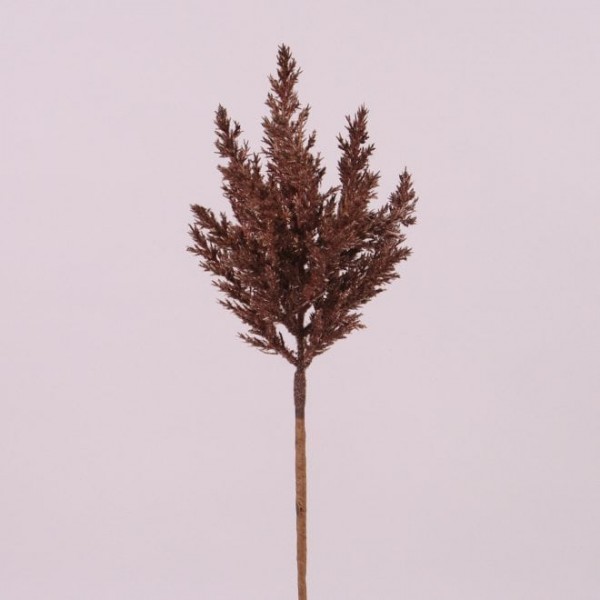 Трава пампасна засніжена темно-коричнева Flora 75929