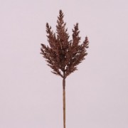 Трава пампасная заснеженная темно-коричневая Flora 75929