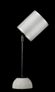 Настольная лампа с абажуром Ray NJL2403-2