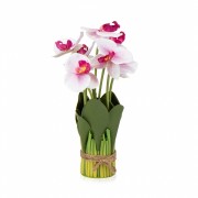 Букет орхідей 33 см, біло-рожевий (8931-017) Elso