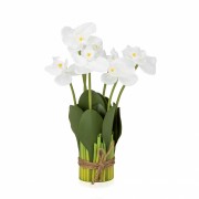 Букет орхідей 33 см, білий (8931-016) Elso