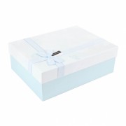Набір з 3 коробок Лів блакитний (8946-008) Elso