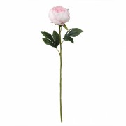 Роза Чувственность, розовая, 66 см (6018-059) Elso