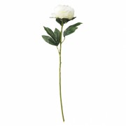 Роза Чувственность белая, 66 см (6018-058) Elso