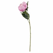 Півонія Жінка, рожева, 66 см (6018-140) Elso
