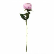 Троянда Романтика, рожева, 66 см (6018-061) Elso