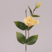 Набор цветов Эустома Flora 72055 желтый 12 шт.