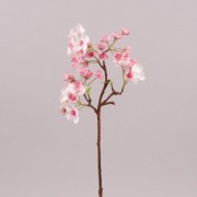 Цвет Яблони Flora 72546 розовый