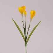 Цветок Крокус Flora желтый 72197