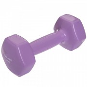 Гантель для фитнеса с виниловым покрытием Zelart TA-2777-3 1шт 3кг Светло-фиолетовая
