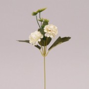 Цветок Бархотка Flora кремовый 72481