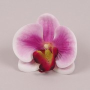 Головка Орхидеи Flora Фаленопсис из латекса розовая 23852