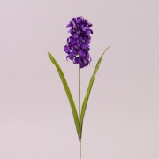 Цветок Гиацинт Flora темно-фиолетовый 73231