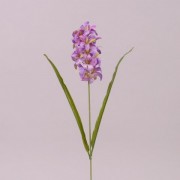 Цветок Гиацинт Flora розово-фиолетовый 73227