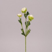 Цветок Камелия Flora кремово-зеленый 71567