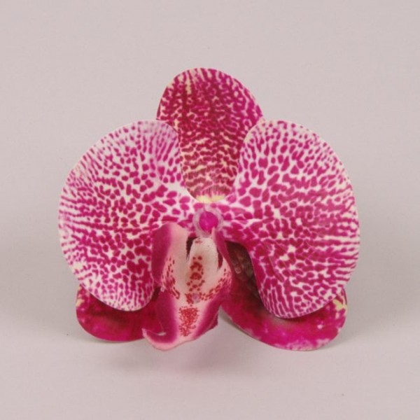 Головка Орхидеи Flora Фаленопсис из латекса тигровая 23851