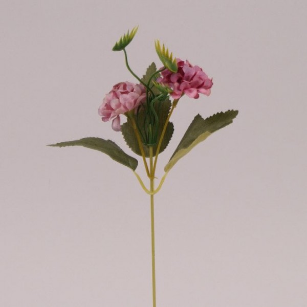 Квітка Бархотка Flora темно-фіолетова 72477
