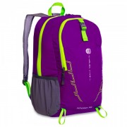 Рюкзак спортивный COLOR LIFE TY-9008 30л фиолетовый
