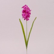 Цветок Гиацинт Flora малиновый 72754