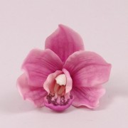 Головка Цимбидиума Flora фиолетовая 22931
