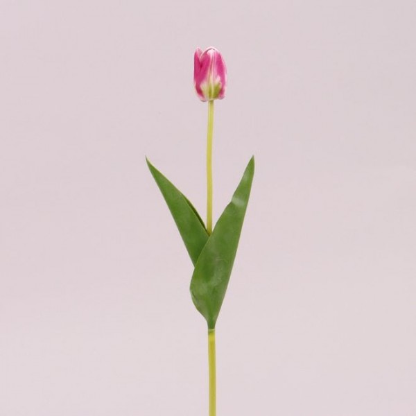 Квітка Тюльпан Flora пінка малинова 72779